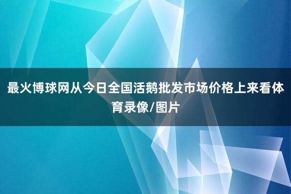 最火博球网从今日全国活鹅批发市场价格上来看体育录像/图片