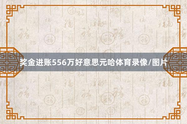 奖金进账556万好意思元哈体育录像/图片