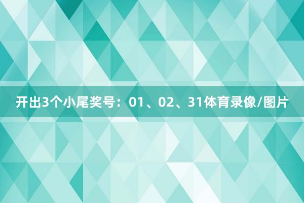 开出3个小尾奖号：01、02、31体育录像/图片