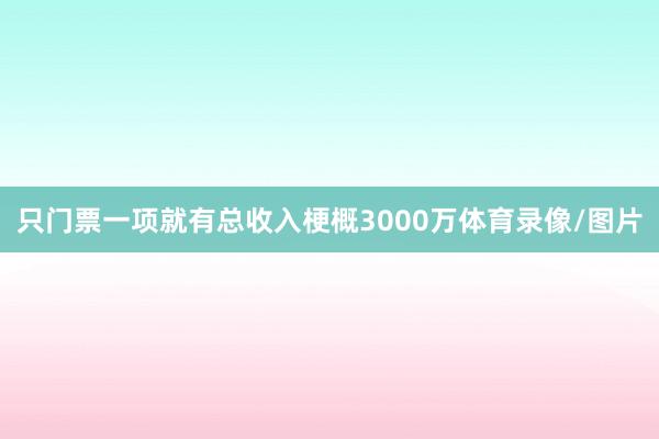 只门票一项就有总收入梗概3000万体育录像/图片