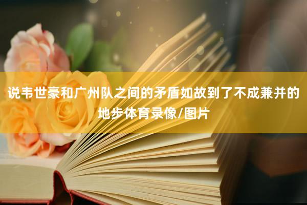 说韦世豪和广州队之间的矛盾如故到了不成兼并的地步体育录像/图