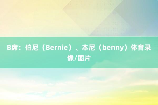 B席：伯尼（Bernie）、本尼（benny）体育录像/图片