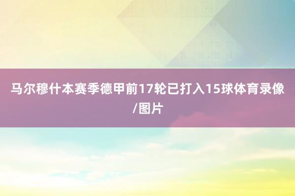 马尔穆什本赛季德甲前17轮已打入15球体育录像/图片