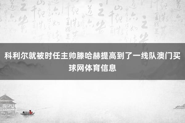 科利尔就被时任主帅滕哈赫提高到了一线队澳门买球网体育信息