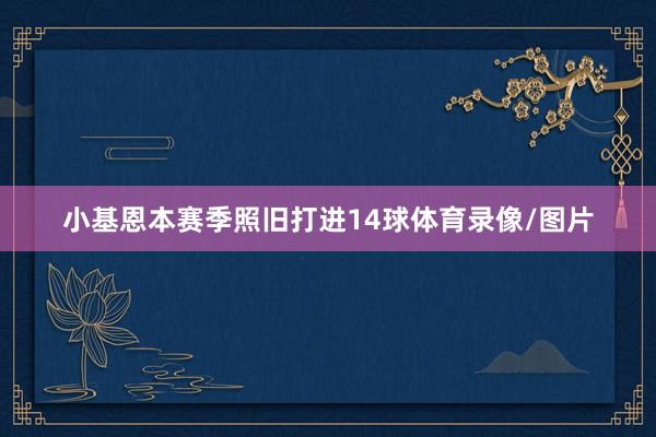 小基恩本赛季照旧打进14球体育录像/图片