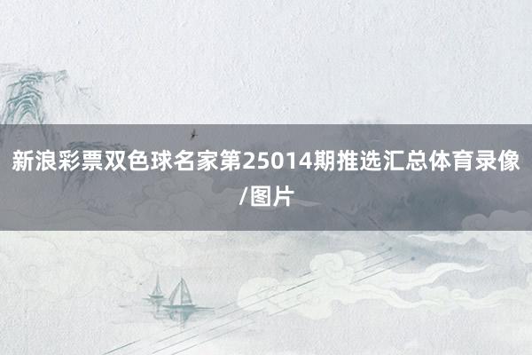 新浪彩票双色球名家第25014期推选汇总体育录像/图片